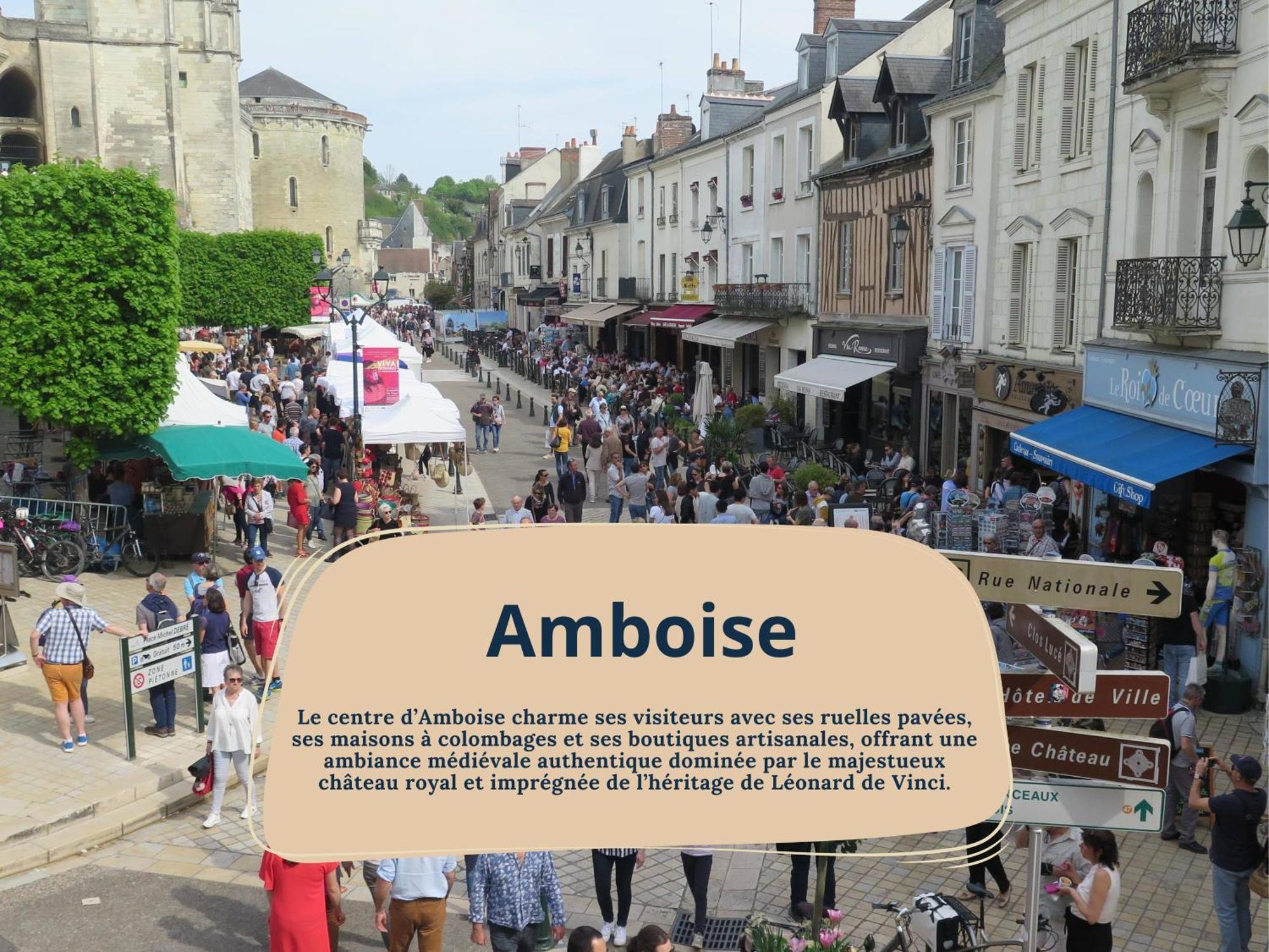 Gite Rabelais - A 5Min Du Chateau D'Amboise Esterno foto
